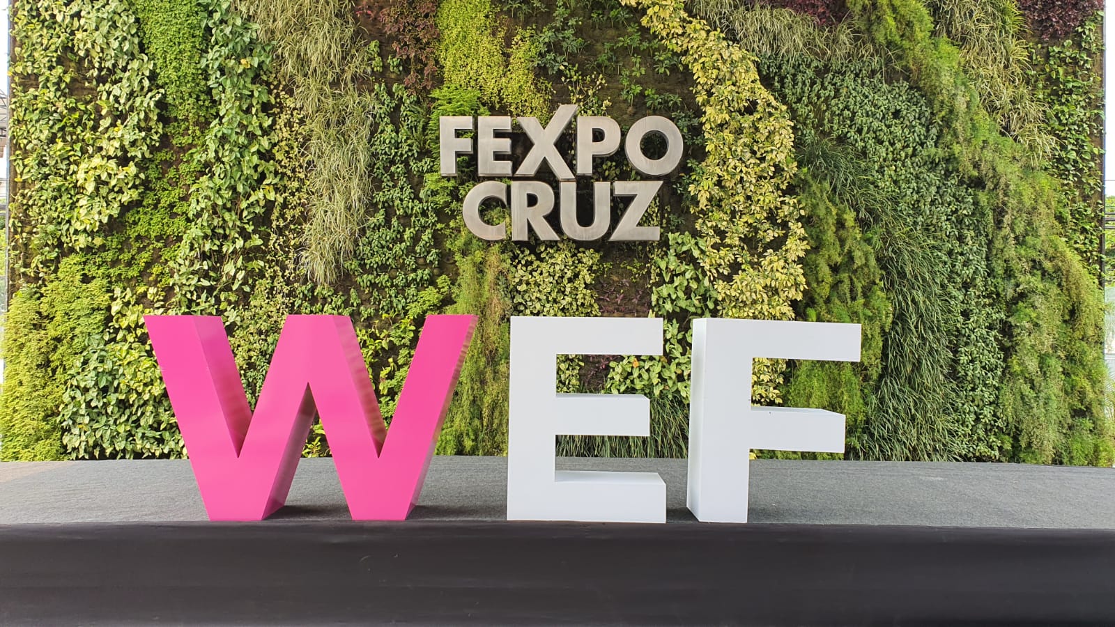 wef 2024